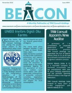 newsletter 4